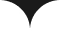 Top Shape